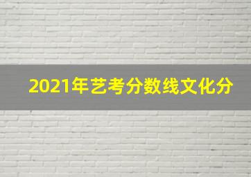 2021年艺考分数线文化分