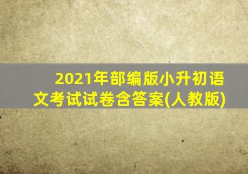 2021年部编版小升初语文考试试卷含答案(人教版)