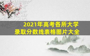 2021年高考各所大学录取分数线表格图片大全