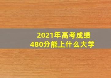 2021年高考成绩480分能上什么大学