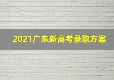 2021广东新高考录取方案