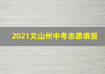 2021文山州中考志愿填报