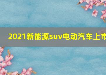 2021新能源suv电动汽车上市