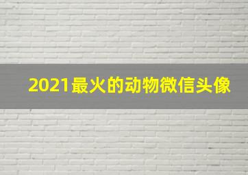 2021最火的动物微信头像