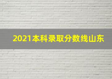 2021本科录取分数线山东