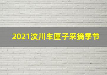 2021汶川车厘子采摘季节