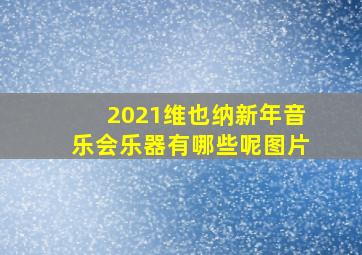 2021维也纳新年音乐会乐器有哪些呢图片