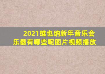 2021维也纳新年音乐会乐器有哪些呢图片视频播放