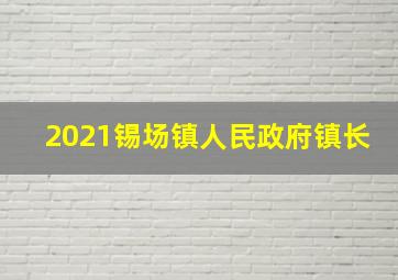 2021锡场镇人民政府镇长