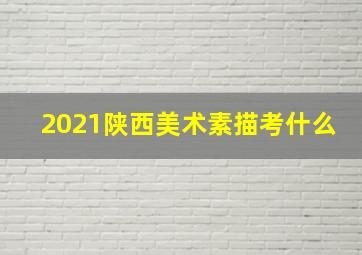 2021陕西美术素描考什么