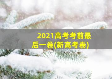 2021高考考前最后一卷(新高考卷)