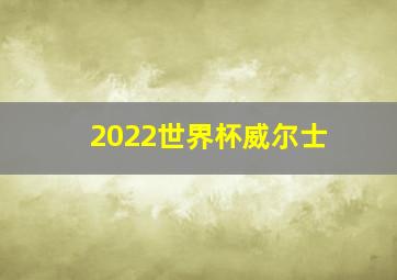 2022世界杯威尔士