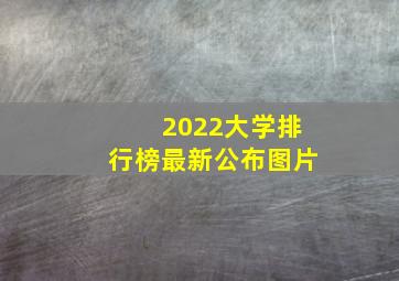 2022大学排行榜最新公布图片