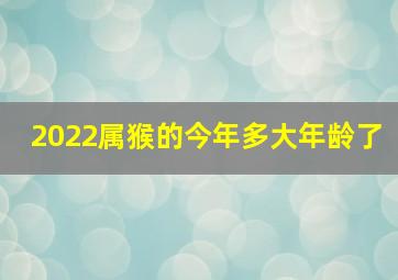 2022属猴的今年多大年龄了