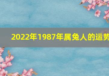 2022年1987年属兔人的运势