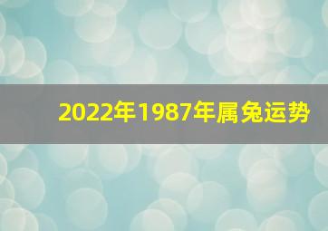 2022年1987年属兔运势