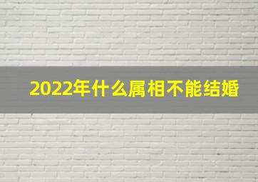 2022年什么属相不能结婚