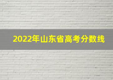 2022年山东省高考分数线