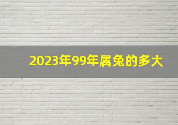 2023年99年属兔的多大