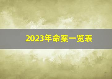 2023年命案一览表