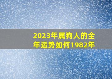 2023年属狗人的全年运势如何1982年