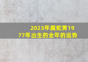 2023年属蛇男1977年出生的全年的运势