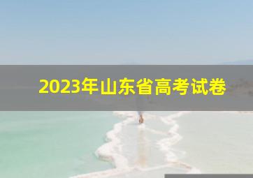 2023年山东省高考试卷