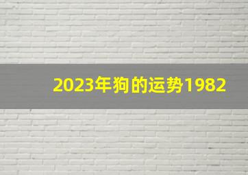 2023年狗的运势1982