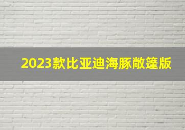 2023款比亚迪海豚敞篷版