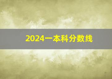 2024一本科分数线