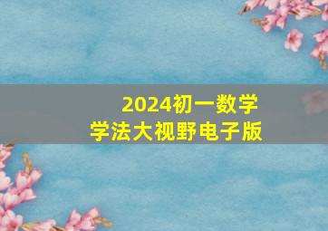 2024初一数学学法大视野电子版