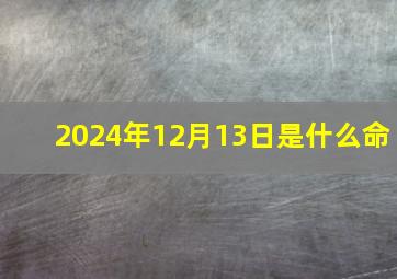 2024年12月13日是什么命