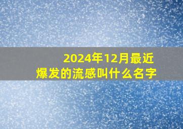 2024年12月最近爆发的流感叫什么名字