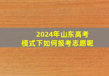 2024年山东高考模式下如何报考志愿呢