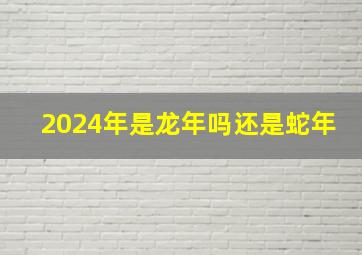 2024年是龙年吗还是蛇年