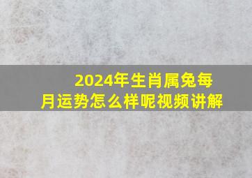 2024年生肖属兔每月运势怎么样呢视频讲解