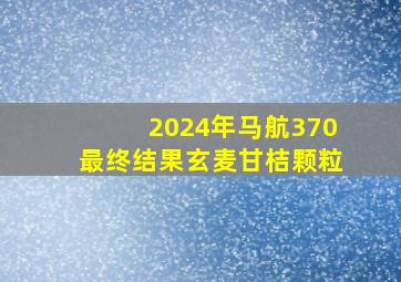 2024年马航370最终结果玄麦甘桔颗粒