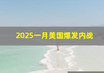 2025一月美国爆发内战