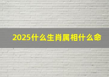 2025什么生肖属相什么命