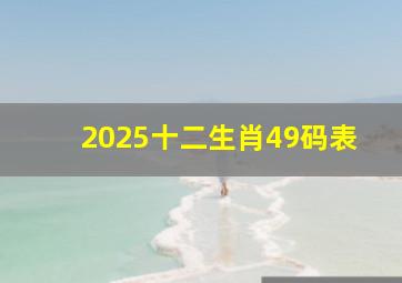 2025十二生肖49码表