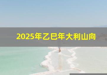 2025年乙巳年大利山向