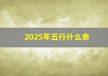 2025年五行什么命