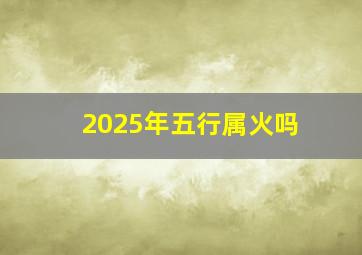 2025年五行属火吗