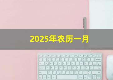 2025年农历一月