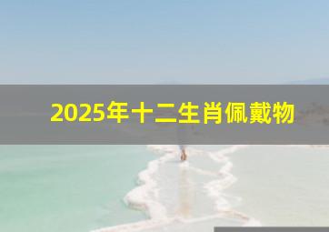 2025年十二生肖佩戴物