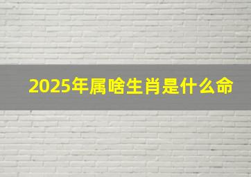 2025年属啥生肖是什么命