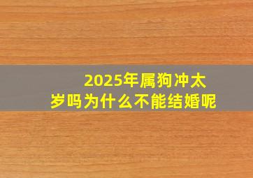 2025年属狗冲太岁吗为什么不能结婚呢