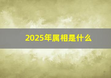 2025年属相是什么