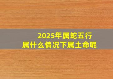 2025年属蛇五行属什么情况下属土命呢