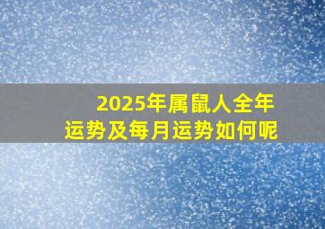 2025年属鼠人全年运势及每月运势如何呢